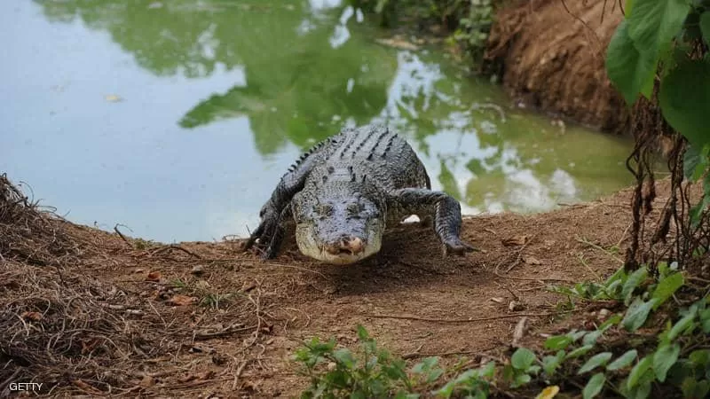 مدار الساعة,أخبار خفيفة ومنوعة