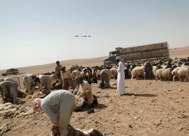 مدار الساعة,مقالات