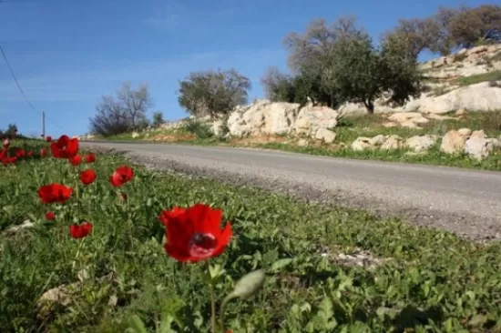 مدار الساعة,أخبار الأردن,اخبار الاردن,درجات الحرارة,الأرصاد الجوية,البحر الميت