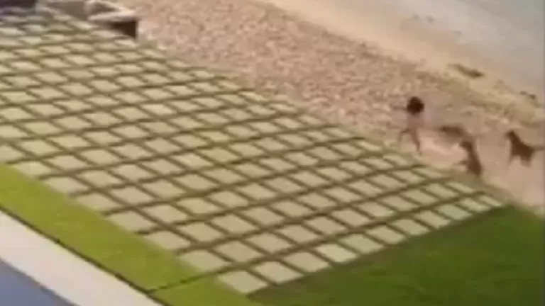 مدار الساعة,أخبار عربية ودولية,مواقع التواصل الاجتماعي