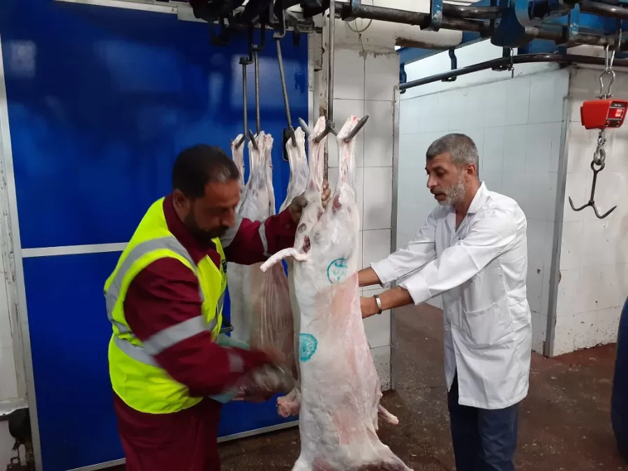 مدار الساعة,أخبار اقتصادية,أمانة عمان