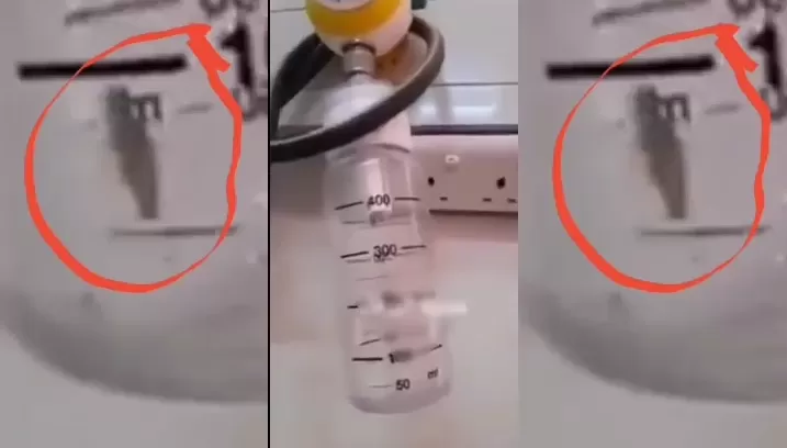 مدار الساعة,Video,فيديو,أخبار الأردن,اخبار الاردن,وزارة الصحة,وسائل التواصل الاجتماعي