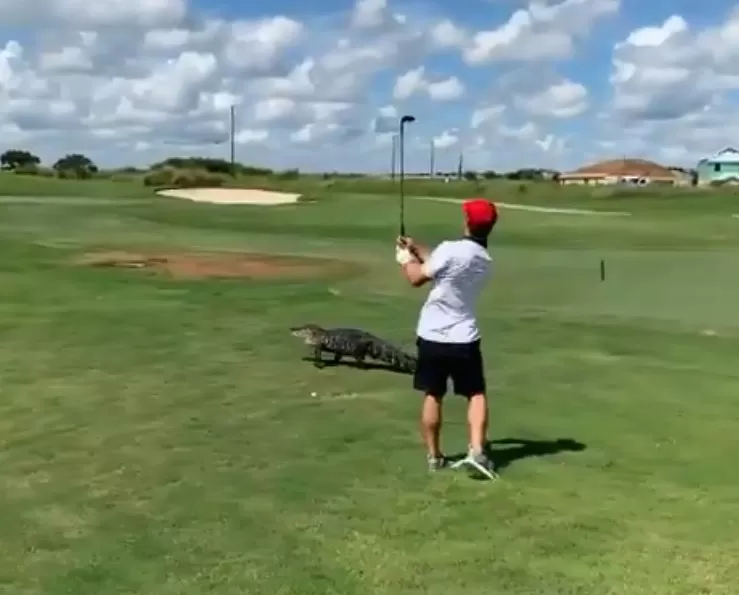 مدار الساعة,Video,فيديو,أخبار خفيفة ومنوعة