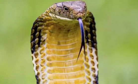 مدار الساعة,أخبار خفيفة ومنوعة