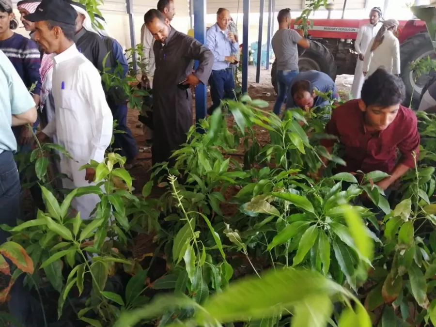 مدار الساعة,مناسبات أردنية,المركز الوطني للبحوث الزراعية,البحوث الزراعية,التنمية المستدامة