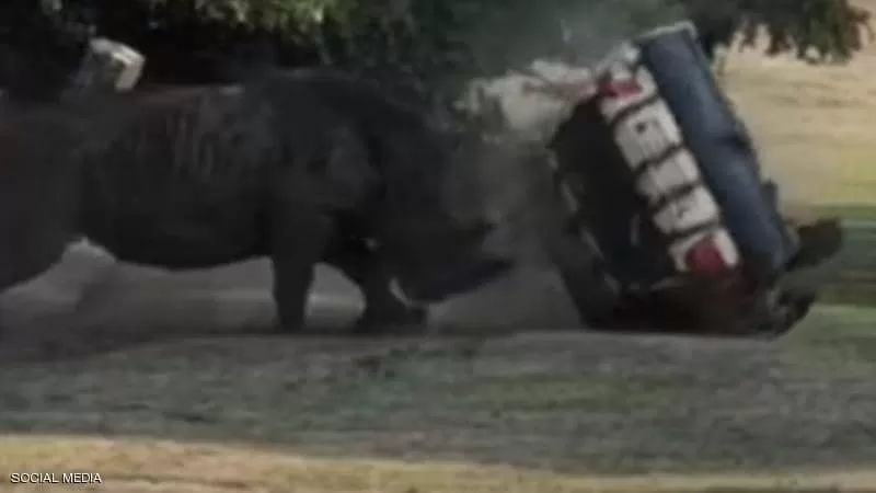 مدار الساعة,أخبار خفيفة ومنوعة