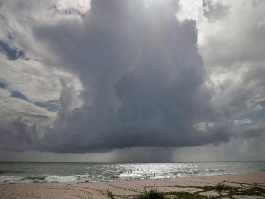 مدار الساعة,أخبار عربية ودولية,الأرصاد الجوية,مواقع التواصل الاجتماعي