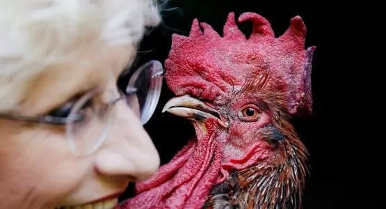 مدار الساعة,أخبار خفيفة ومنوعة