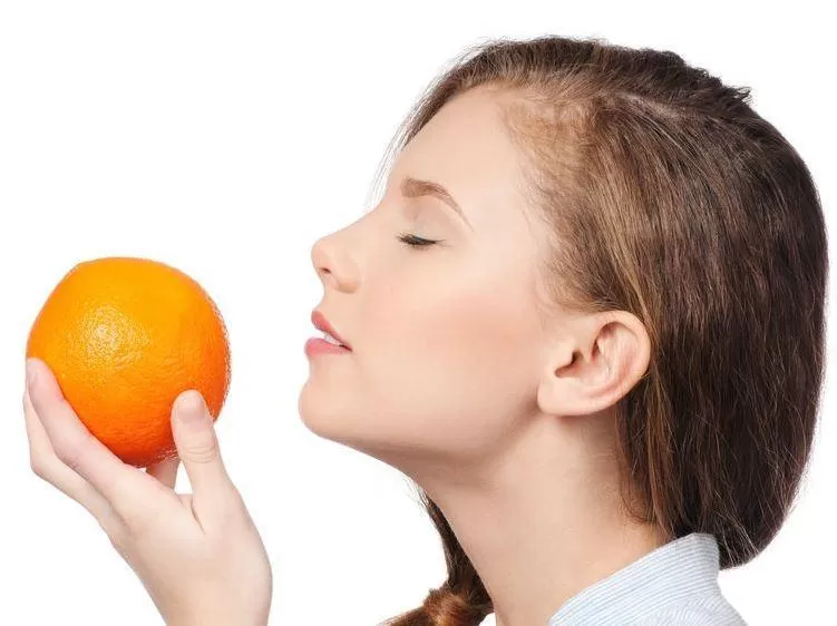 مدار الساعة,أخبار الأسرة