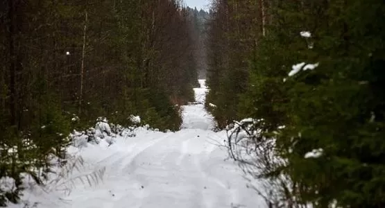 مدار الساعة,أخبار خفيفة ومنوعة,درجات الحرارة