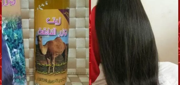 مدار الساعة,أخبار الأسرة
