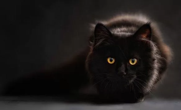 مدار الساعة,أخبار خفيفة ومنوعة