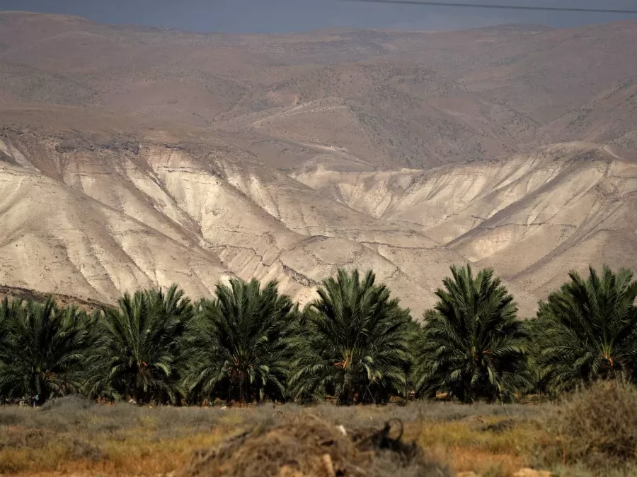مدار الساعة,أخبار الأردن,اخبار الاردن,وزير الخارجية وشؤون المغتربين,أيمن الصفدي,رئيس الوزراء,المملكة العربية السعودية,الضفة الغربية,بنيامين نتنياهو,البحر الميت