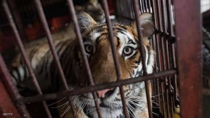 مدار الساعة,أخبار خفيفة ومنوعة,مواقع التواصل الاجتماعي