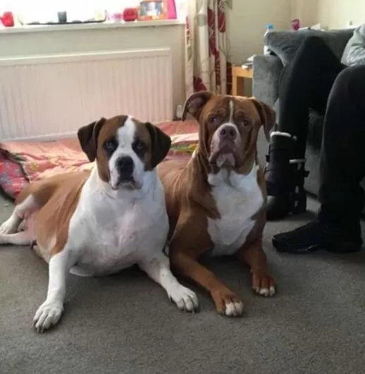 مدار الساعة,أخبار خفيفة ومنوعة