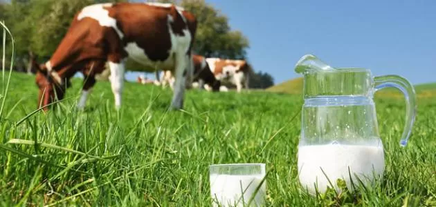 مدار الساعة,أخبار اقتصادية