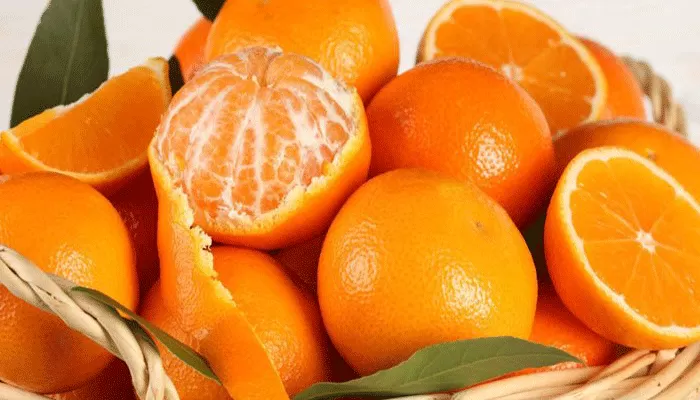 مدار الساعة,أخبار الأردن,اخبار الاردن,وزارة الزراعة