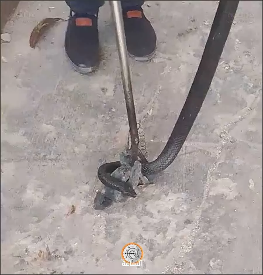 مدار الساعة,Video,فيديو,أخبار الأردن,اخبار الاردن,الدفاع المدني