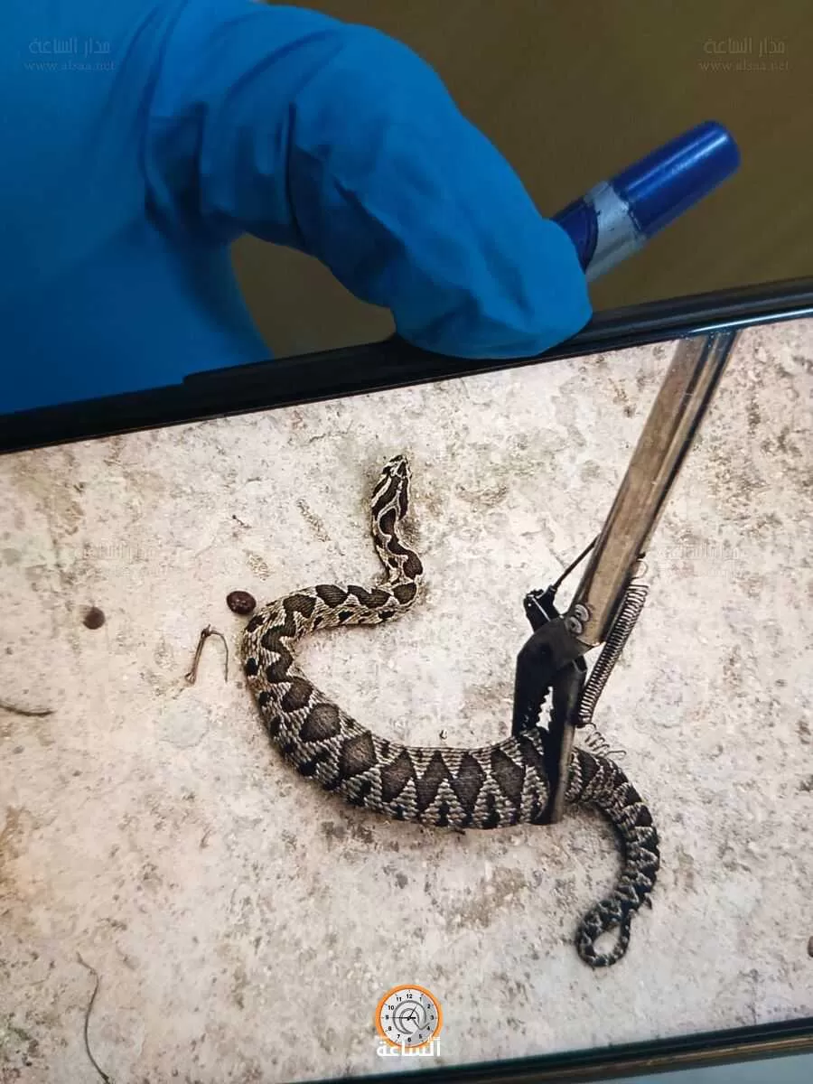 مدار الساعة,أخبار الأردن,اخبار الاردن